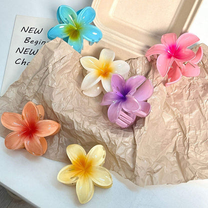 pinza hawaiana de colores, codigo a19