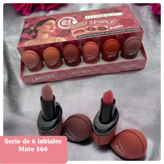 Serie de 6 labiales mate, codigo A405