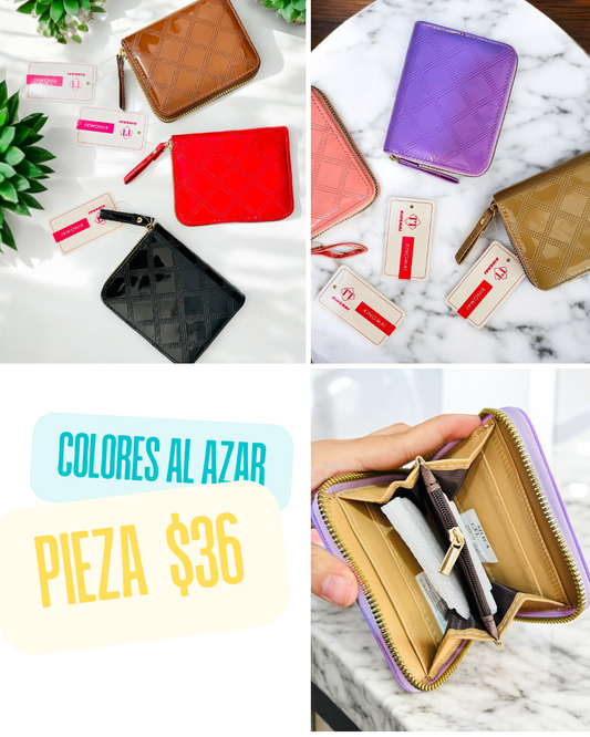Cartera chica, colores al azar, codigo a196