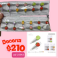 cucas en par de frutas, 12 sets, codigo 25392