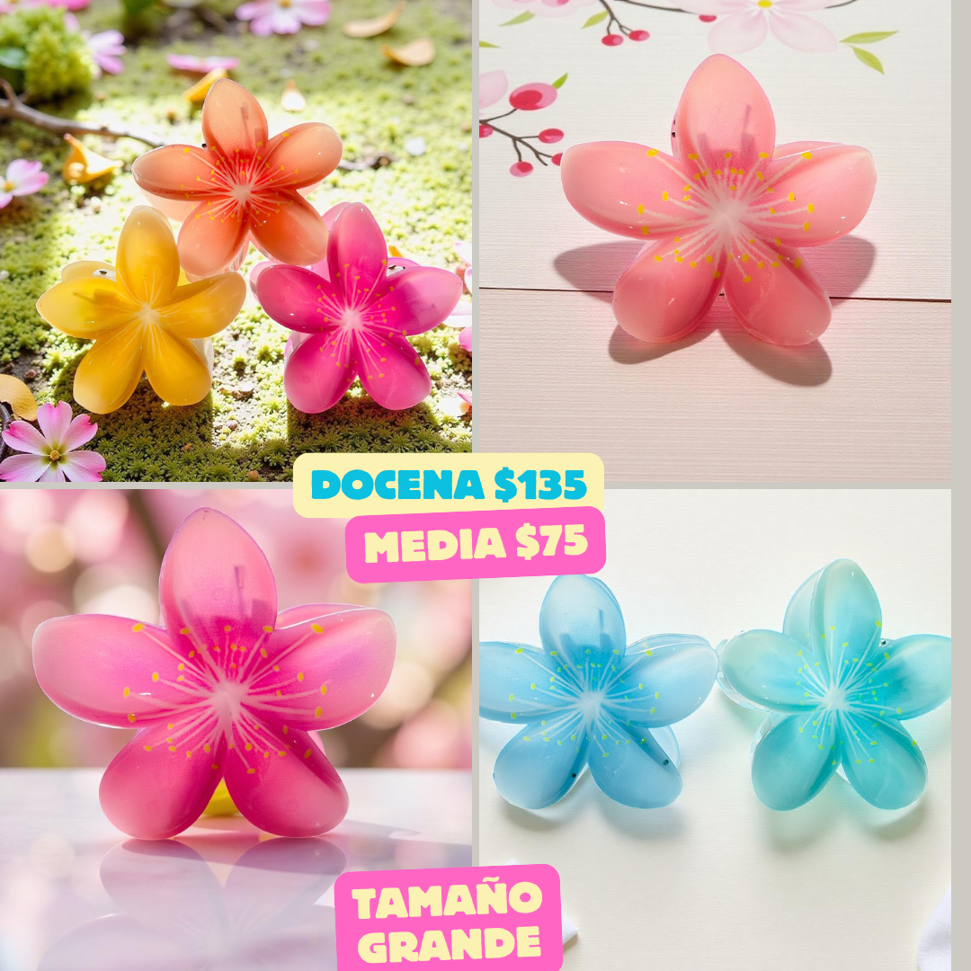 pinza hawaiana de colores con centro, codigo a143