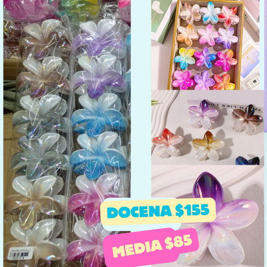 pinza hawiana degradada codigo a71