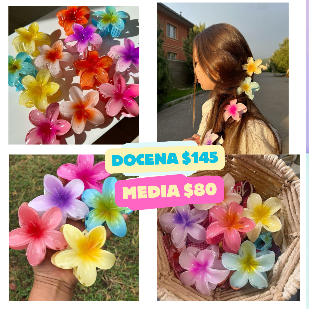 pinza hawaiana de colores, codigo a19